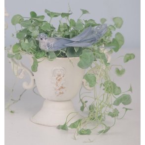 Pokal urtepotteskjuler med plastindsats